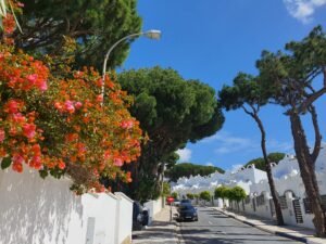 Urbanización- Casa en venta en Marbella