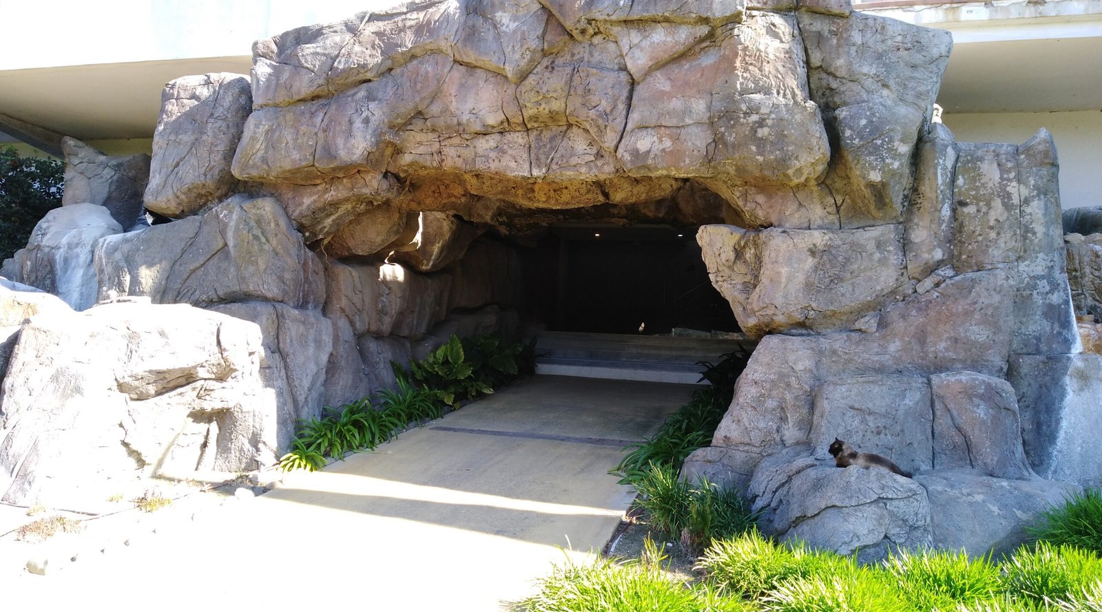 Entrada - Parque botanico
